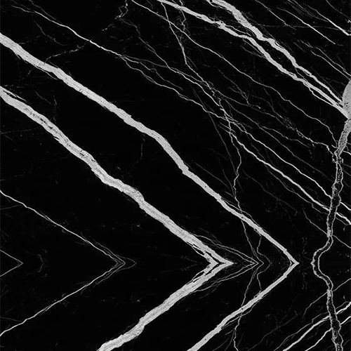Marquina Venatino